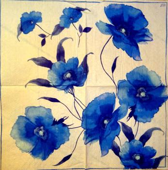 039 Anemones, Poppy - 3-ply (blue/red) - Ihr